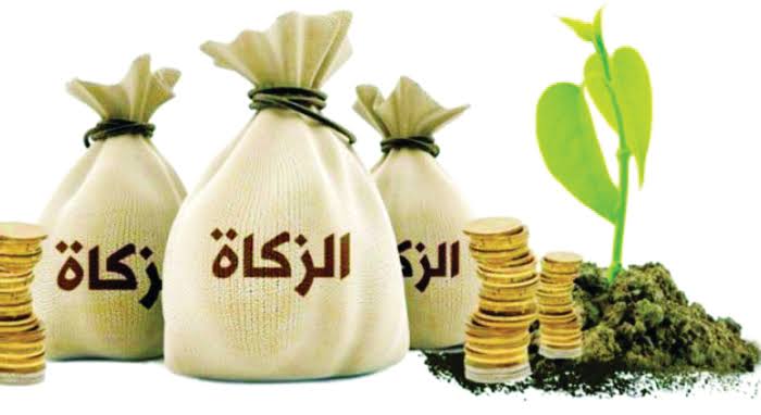 WhatsApp Image 2025-05-06 at 14.24.20_387b934b